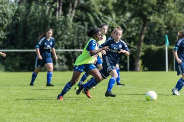 Bild 71 - B-Juniorinnen VfL Pinneberg - HSV : Ergebnis: 1:4